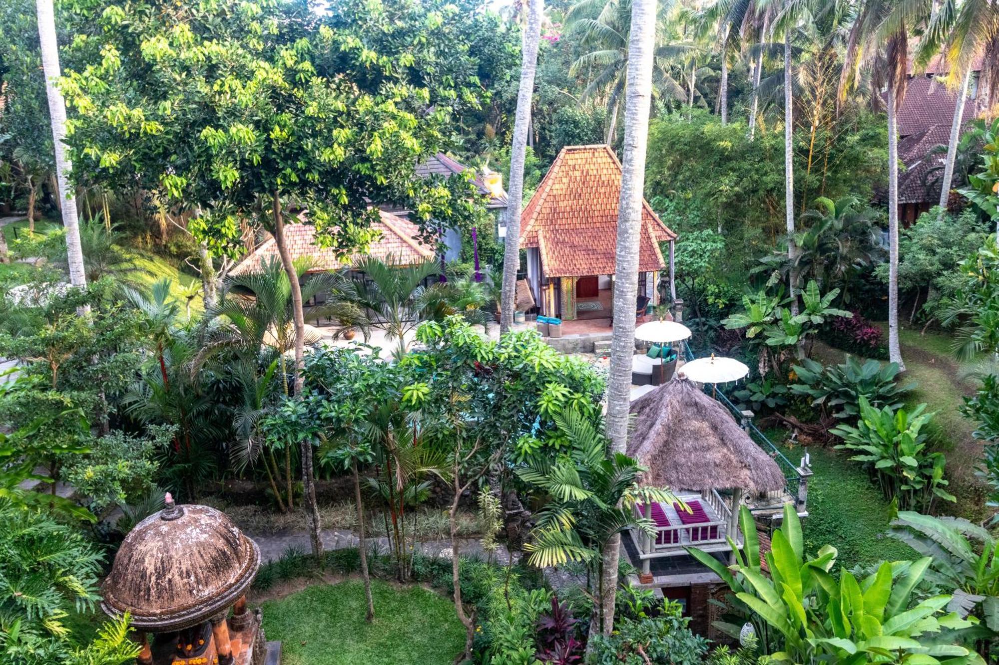 Narasoma Homestay & Retreat Ubud Kültér fotó